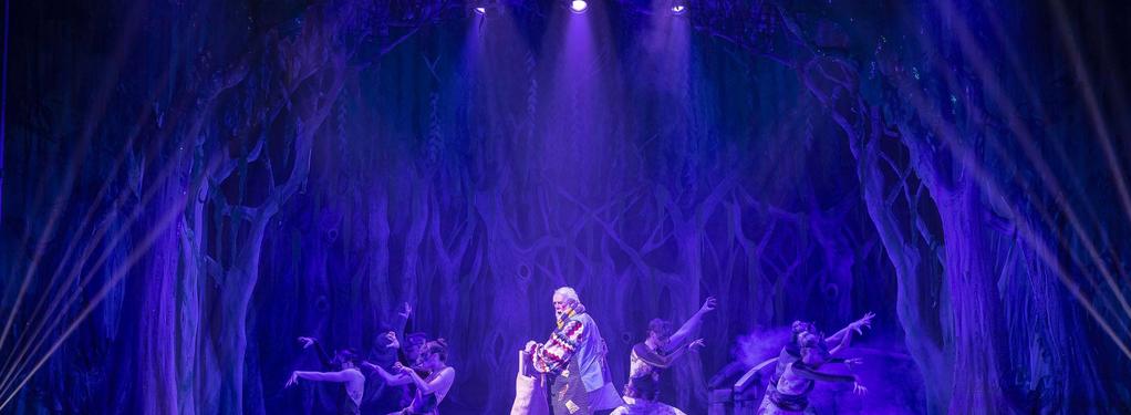 Photograph from Beauty & The Beast - lighting design by Andy Webb