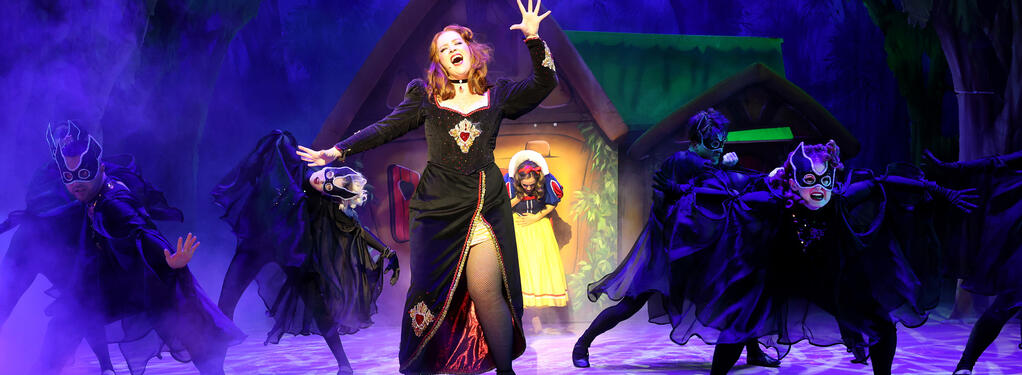 Photograph from Snow White and the Seven Dwarfs - lighting design by Andy Webb