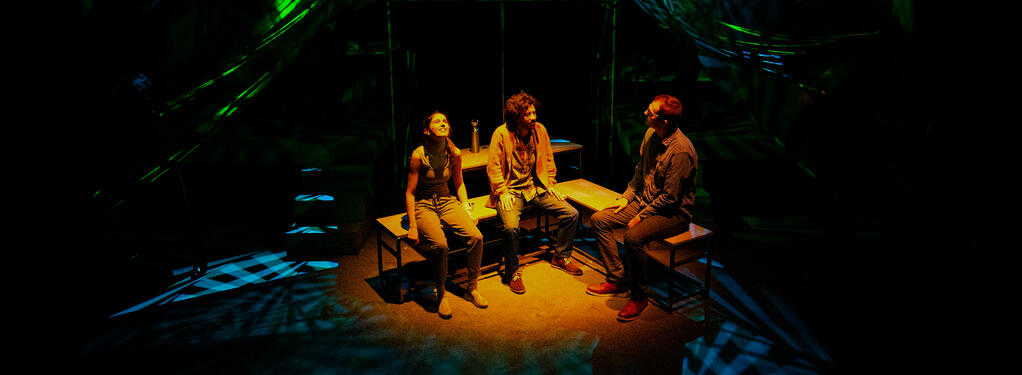 Photograph from Between the Roots and Wings - lighting design by Hugo Dodsworth