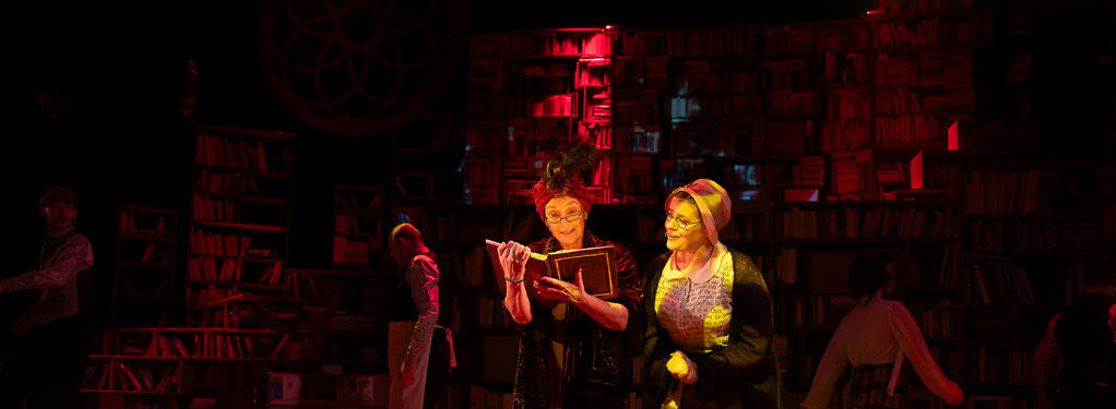 Photograph from The Night Before Christmas - lighting design by James McFetridge