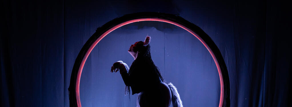 Photograph from The Wolf, the Duck, and the Mouse - lighting design by CatjaHamilton