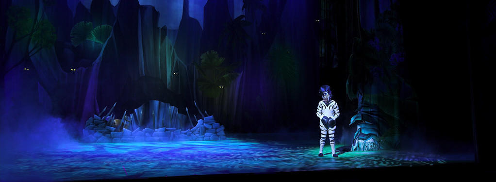 Photograph from Madagascar Live - lighting design by Luc Peumans