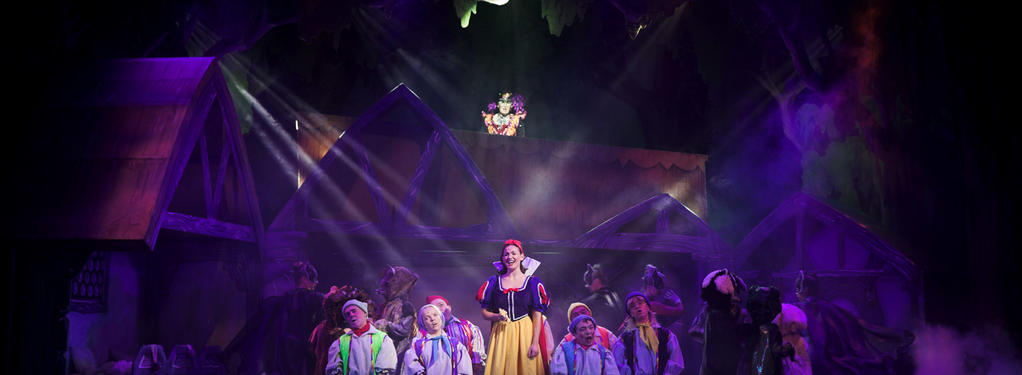 Photograph from Snow White and the Seven Dwarfs - lighting design by Andy Webb