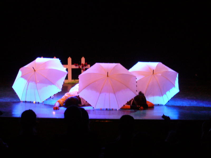 Photograph from Honk! - lighting design by Jonathan Haynes