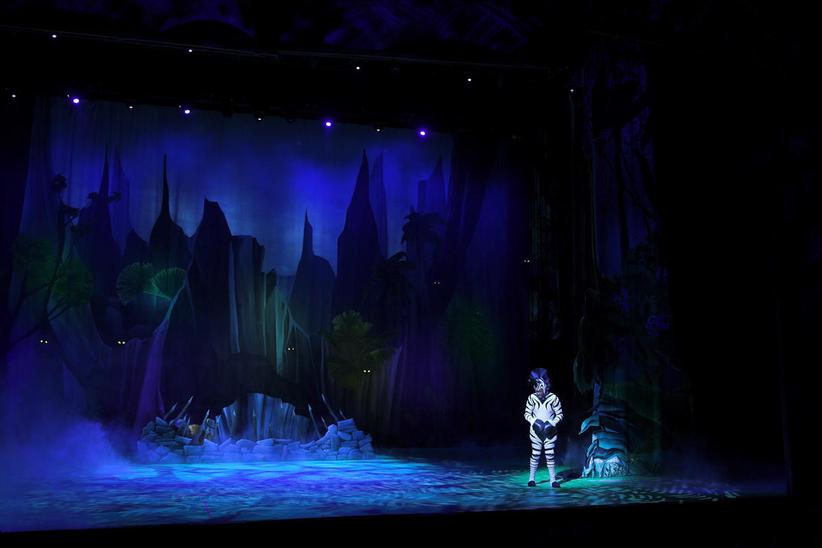 Photograph from Madagascar Live - lighting design by Luc Peumans