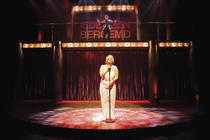 Photograph from Iedereen Beroemd, the musical - lighting design by Luc Peumans