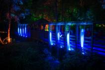 Photograph from Enchanted Forest: Flow - lighting design by Simon Wilkinson