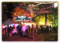 Photograph from Red Bull Enchanted Forest - lighting design by Pete Watts