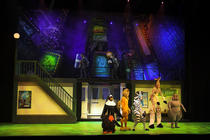 Photograph from Madagascar Live - lighting design by Luc Peumans